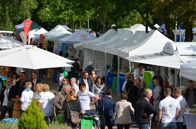 Gesundheitsmeile (Foto: Merten/St. Martini)