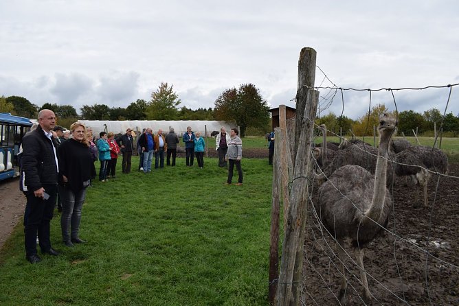 Auf der Strau&szlig;enfarm (Foto: Erwin H&ouml;ller)