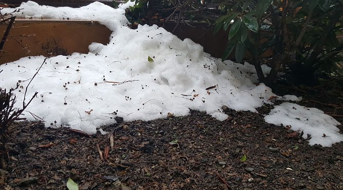 Wetterbild (Foto: nnz)