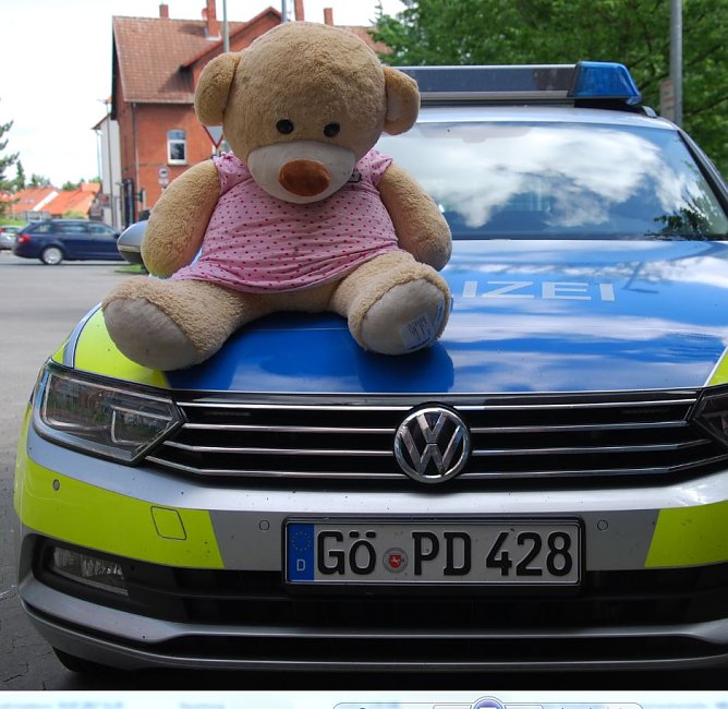 Polizei-B&auml;r (Foto: Polizei G&ouml;ttingen)