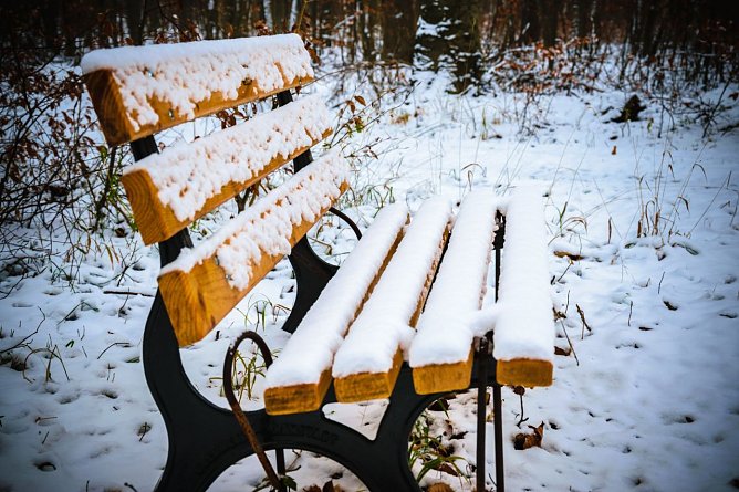 Winterliches Intermezzo (Foto: Gernot Thelemann)
