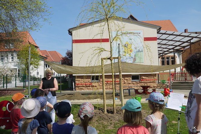 Baumspende f&uuml;r den Kindergarten (Foto: Ilka K&uuml;hn)