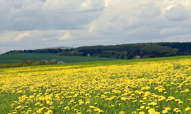 Wetterbild (Foto: Gernot Thelemann)