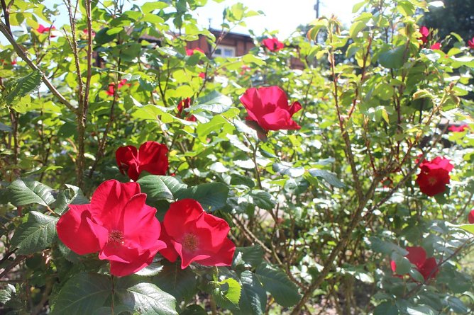 Wetterbild (Foto: Angelo Glashagel)