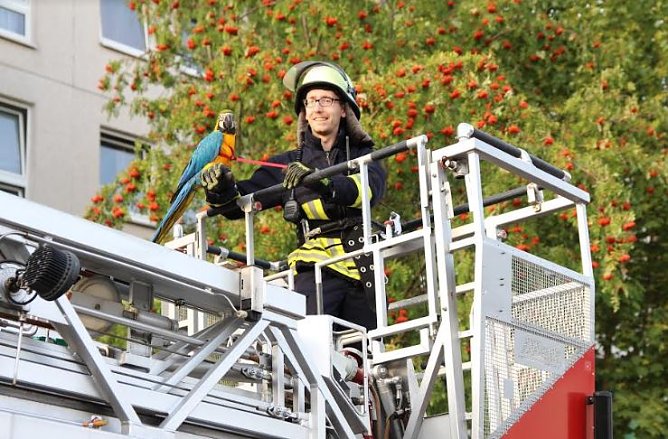 Papagei befreit (Foto: Feuerwehr Heiligenstadt) Papagei befreit (Foto: Feuerwehr Heiligenstadt)
