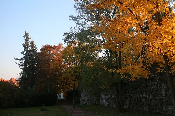 Wetterbild (Foto: Angelo Glashagel)