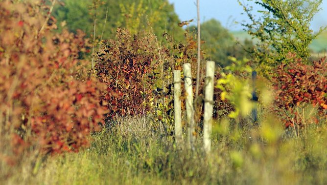 Wetterbild (Foto: Gernot Thelemann)