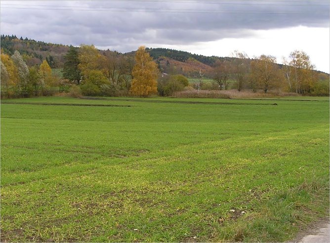 Vorher (Foto: Markus Wolf)