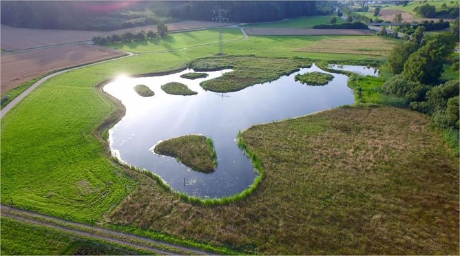 Fertiges Biotop (Foto: Andreas Hammer)