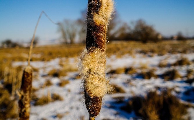 Wetterbild (Foto: Gernot Thelemann)