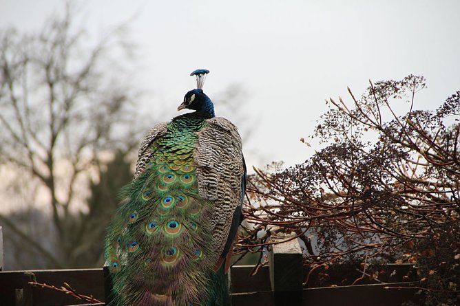Wetterbild (Foto: Angelo Glashagel) Wetterbild (Foto: Angelo Glashagel)