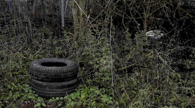 Illegaler Abfall muss auch entsorgt werden (Foto: M. Kappler)