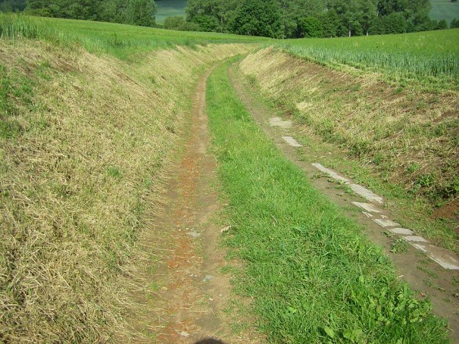 Feldrandhygiene - Leben oder Sterben? (Foto: Wilhelm Roth) Feldrandhygiene - Leben oder Sterben? (Foto: Wilhelm Roth)