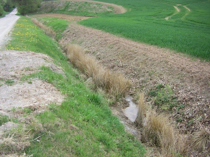Feldrandhygiene - Leben oder Sterben? (Foto: Wilhelm Roth) Feldrandhygiene - Leben oder Sterben? (Foto: Wilhelm Roth)