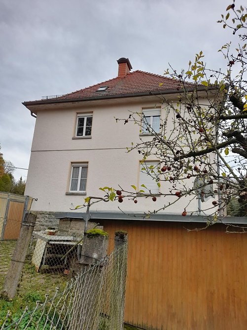 Seitliche Hausansicht (Foto: )