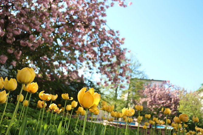 Wetterbild (Foto: Angelo Glashagel)
