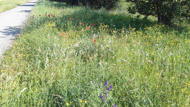 Am Schachtbau-Gel&auml;nde in Nordhausen (Foto: Kurt Frank)