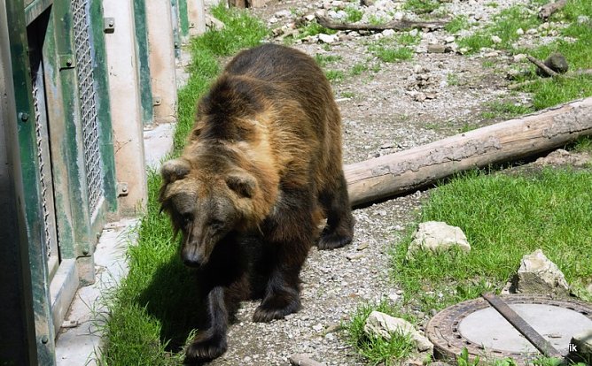 Erste Schritte in "Freiheit" (Foto: Ilka K&uuml;hn)