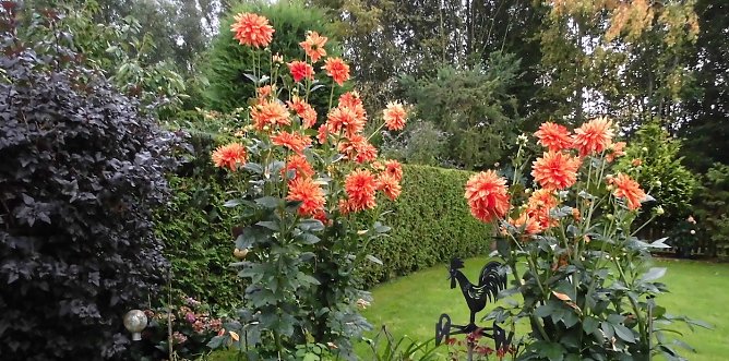 wetter (Foto: Rainer Berndt) wetter (Foto: Rainer Berndt)