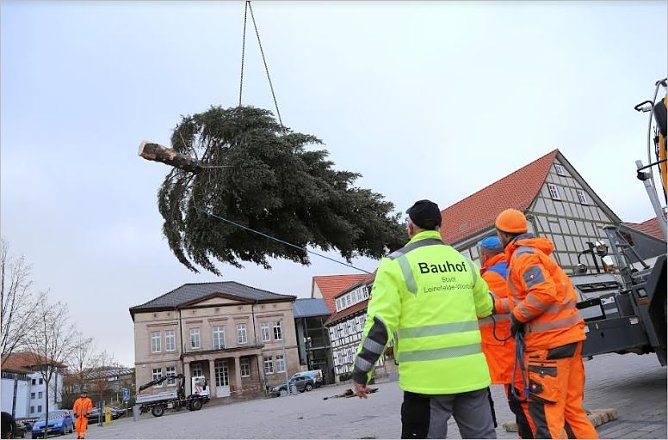 Weihnachtsbaum (Foto: Ren&eacute; Wei&szlig;bach)