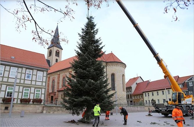 Weihnachtsbaum (Foto: Ren&eacute; Wei&szlig;bach)