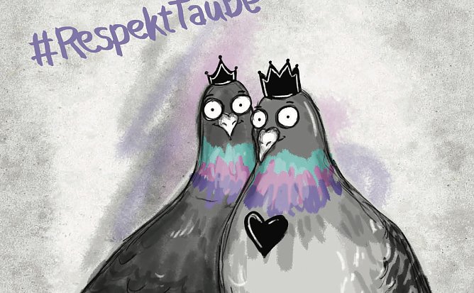 Taben (Foto: Eden Lumaj)