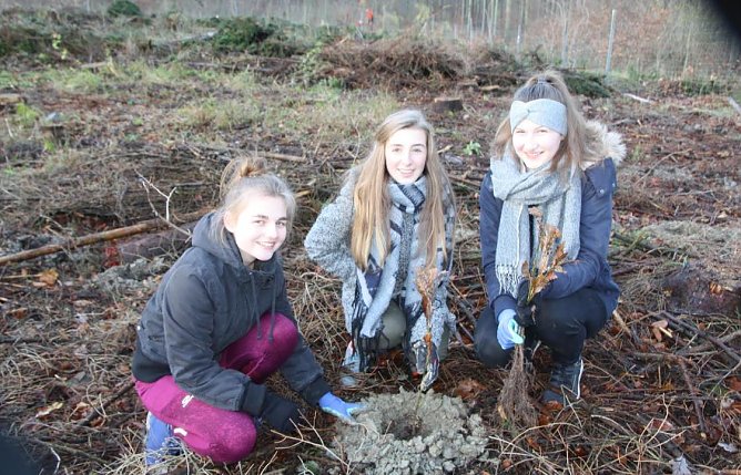 Baumpflanzung (Foto: Elke Sagorski)