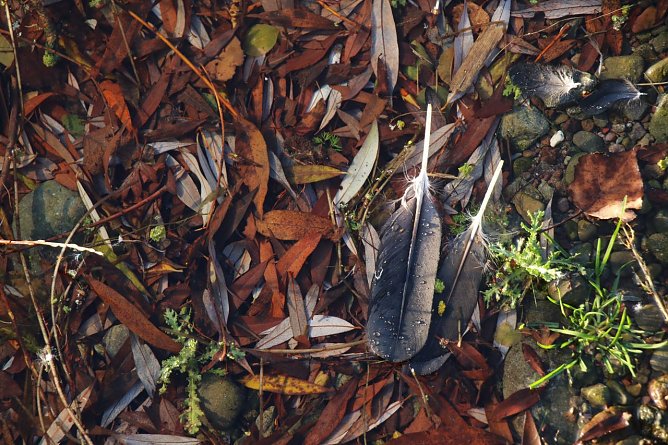 Wetterbild (Foto: Angelo Glashagel) Wetterbild (Foto: Angelo Glashagel)