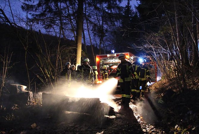 Brennender Baumstamm (Foto: Feuerwehr Heiligenstadt) Brennender Baumstamm (Foto: Feuerwehr Heiligenstadt)
