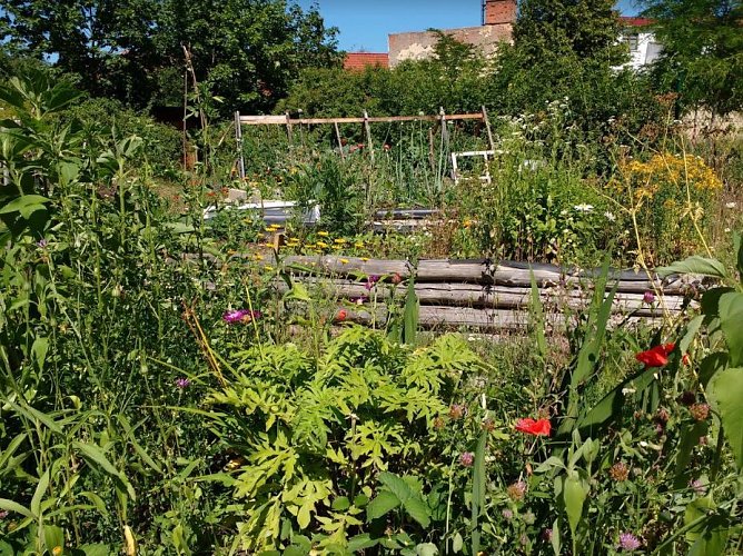 Garten (Foto: Karin Kowol)