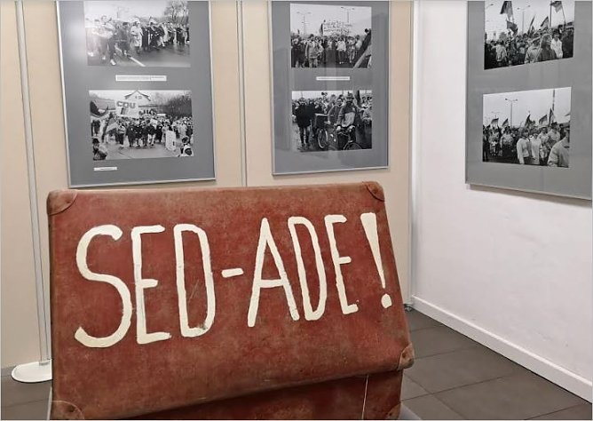 Kofferdemo Ausstellung (Foto: Mira Keune)