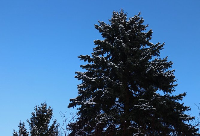 Wetterbild (Foto: Angelo Glashagel) Wetterbild (Foto: Angelo Glashagel)