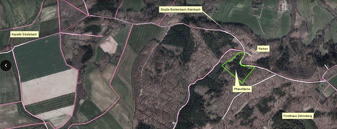 Baumpflanztag (Foto: Forstamt) Baumpflanztag (Foto: Forstamt)