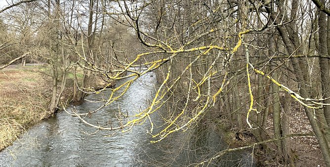 wetter (Foto: oas) wetter (Foto: oas)