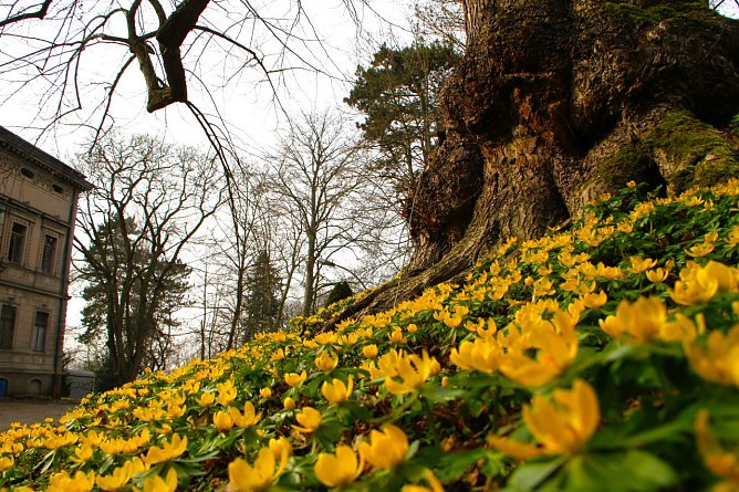 Wetterbild (Foto: Angelo Glashagel)