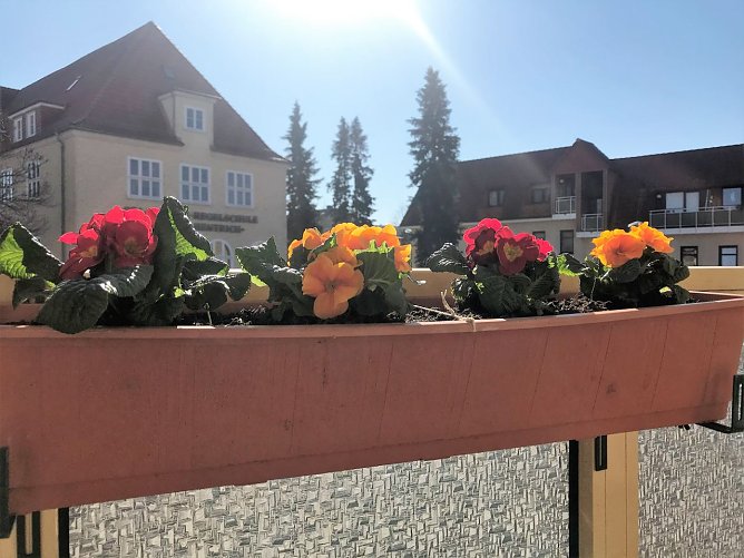 vom Balkon (Foto: Ilka K&uuml;hn)