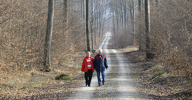 Th&uuml;ringens Forstleute stellen fest: In der Krise steigt die Solidarit&auml;t unter den Waldnutzern (Foto: Andreas Knoll)