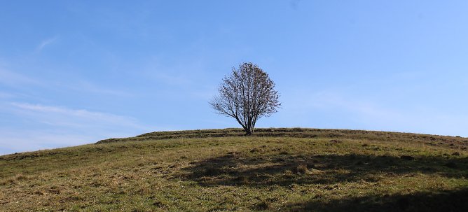 Harz (Foto: oas)