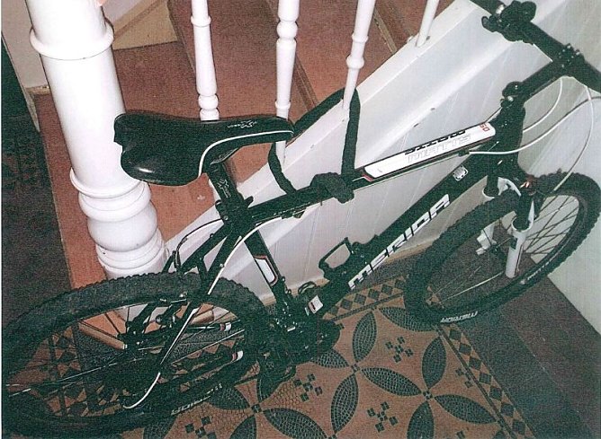 Gestohlenes Fahrrad (Foto: Polizei)
