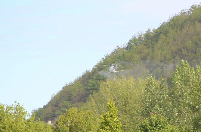 Schwammspinnerbek&auml;mpfung aus der Luft (Foto: Th&uuml;ringenForst)