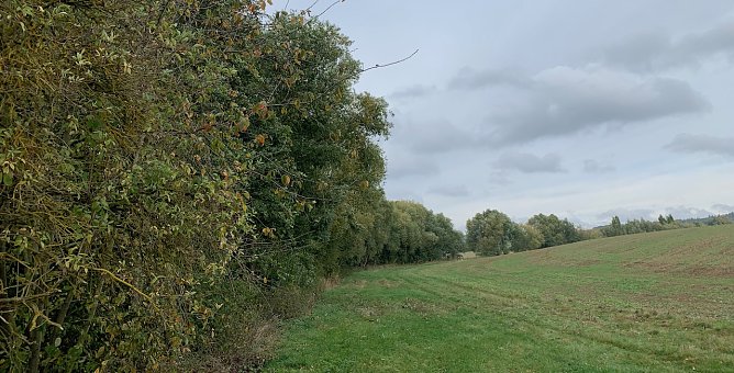 Windl&uuml;cke Nordhausen (Foto: oas)