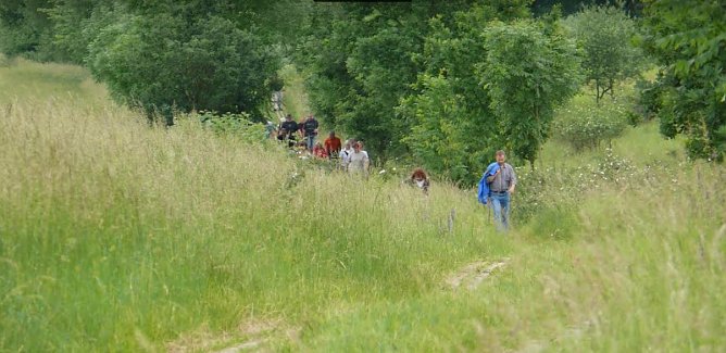 Der ehemalige Kolonnenweg (Foto: Heinz Sielmann Stiftung)