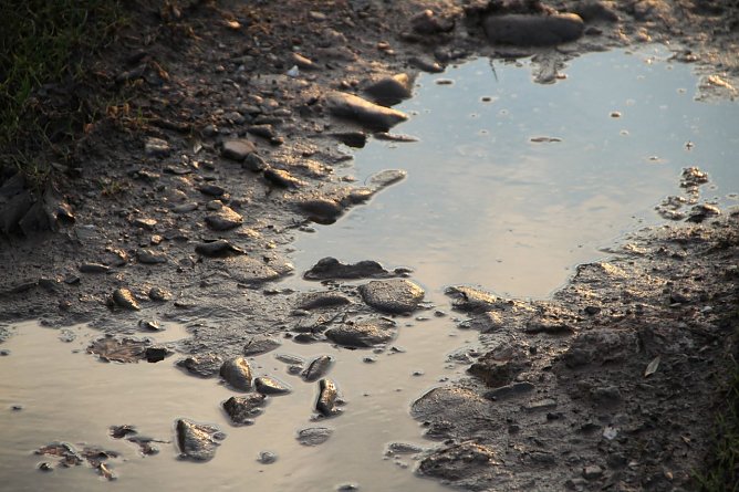 Wetterbild (Foto: agl)