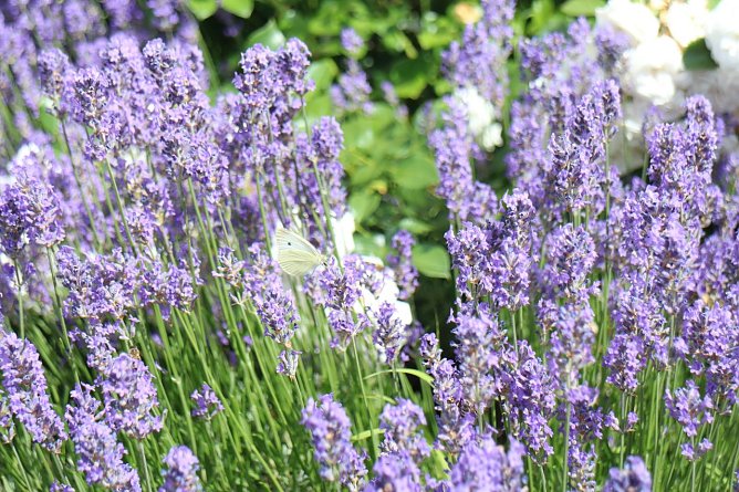 Wetterbild (Foto: agl)