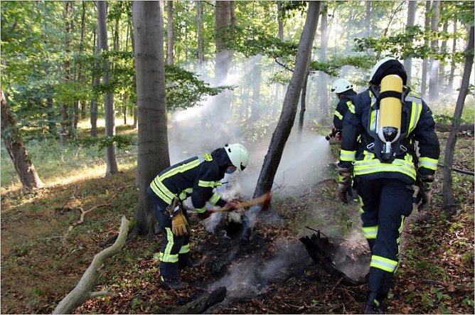 Baumbrand (Foto: Feuerwehr Heilbad Heiligenstadt) Baumbrand (Foto: Feuerwehr Heilbad Heiligenstadt)