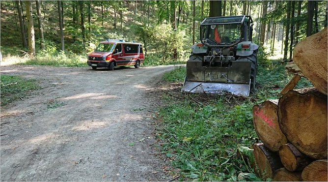 Forstunfall bei Bernterode (Foto: Franz Bierschenk)