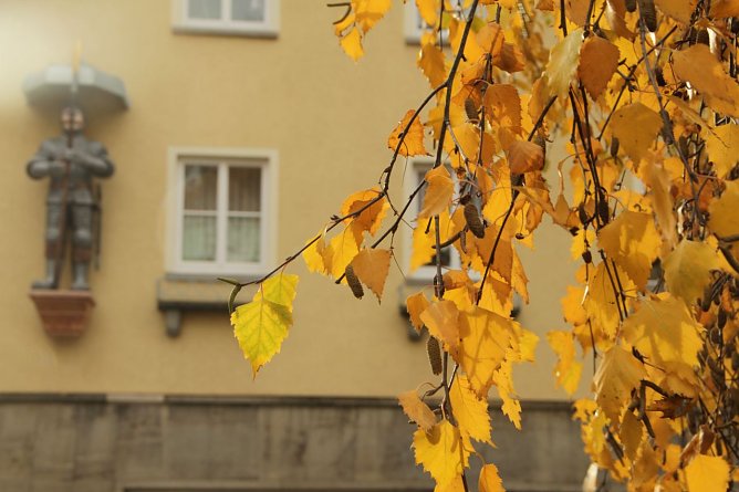 Wetterbild (Foto: agl) Wetterbild (Foto: agl)