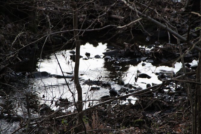 Wetterbild (Foto: agl) Wetterbild (Foto: agl)