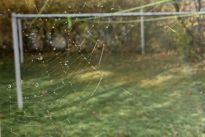 Herbststimmung (Foto: oas) Herbststimmung (Foto: oas)