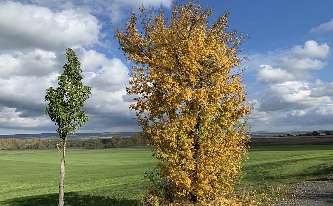 Das Herbstwetter in Deutschland (Foto: oas)